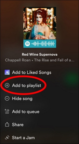 choose Add to Playlist | Download Songs on Spotify on iPhone