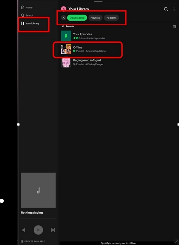 choose saved playlist | Download Songs from Spotify on iPad