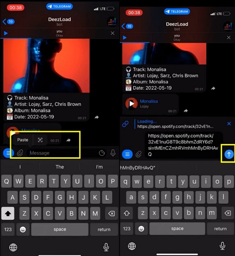 open DeezLoad bot | Download Songs from Spotify on iPad