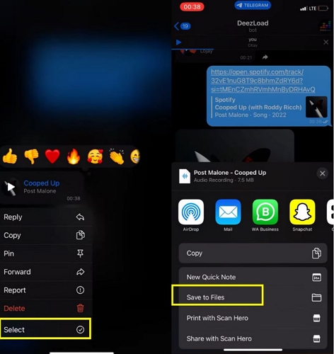 tap Save to Files | Download Songs from Spotify on iPad