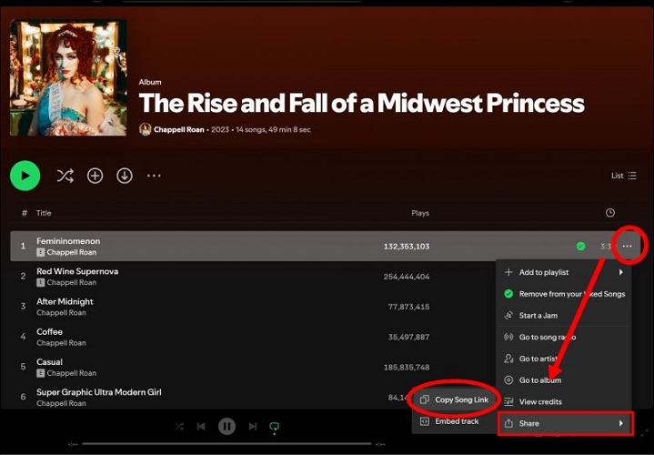 copy share link | Download Songs from Spotify on iPad