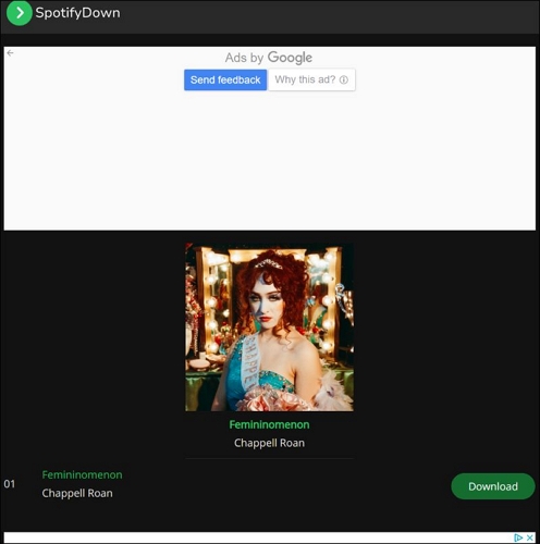 save songs to storage | Download Songs from Spotify on iPad