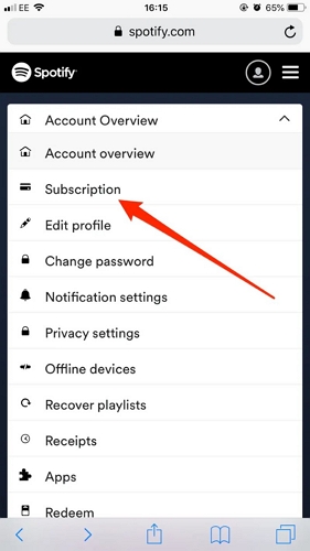 choose Subscriptions | Download Songs from Spotify on iPad